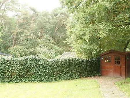 't Hulzen 55 Or 61 * Winterswijk