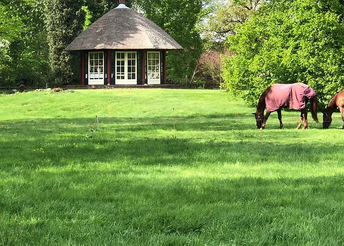 't Hulzen 55 Or 61 Winterswijk